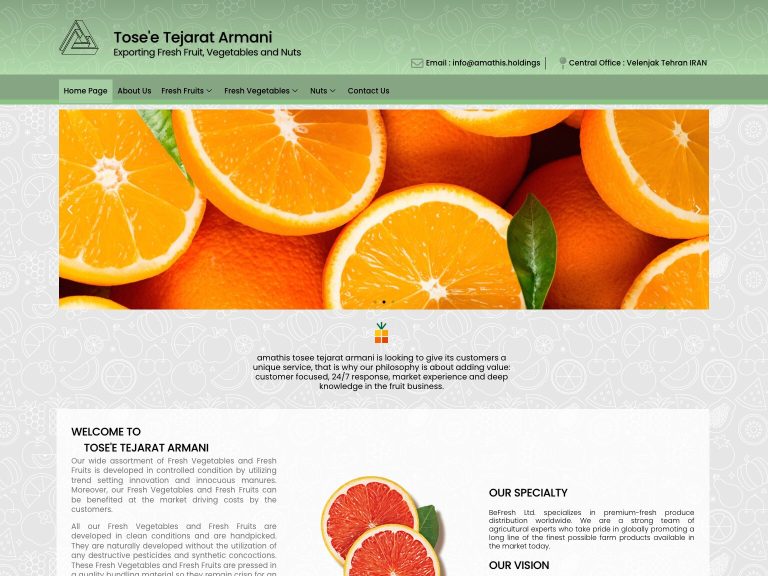 طراحی سایت توسعه تجارت آرمانی